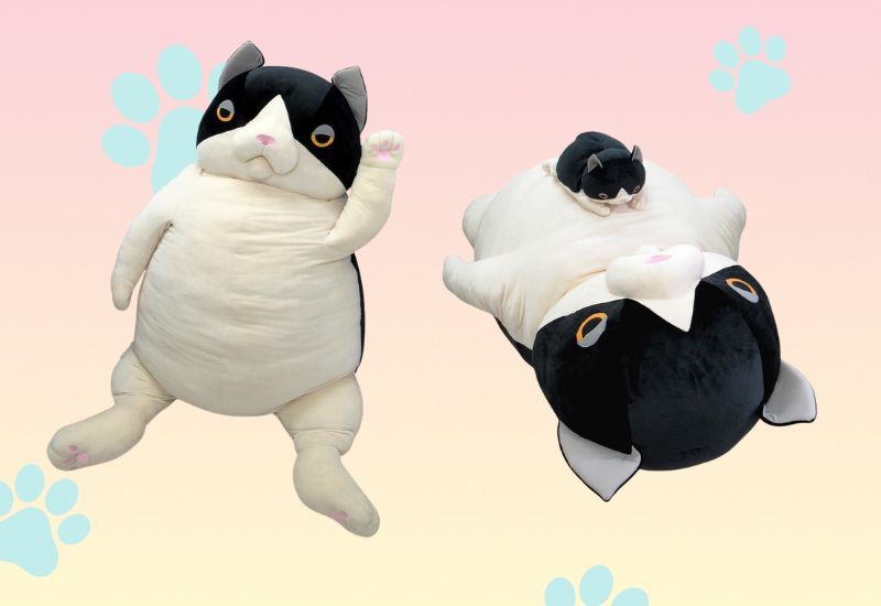 Cat Plushies Giant Cat Plush Morisaka Global