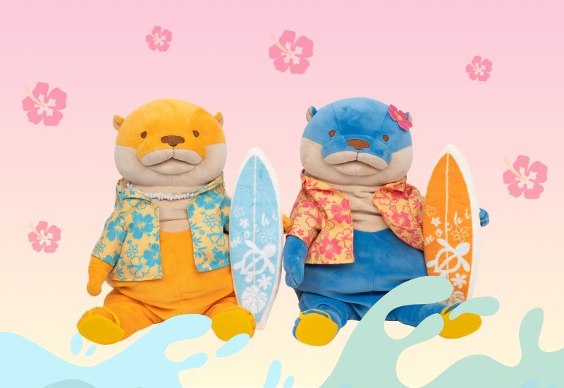 Surfer Otters Limited Editions Banner