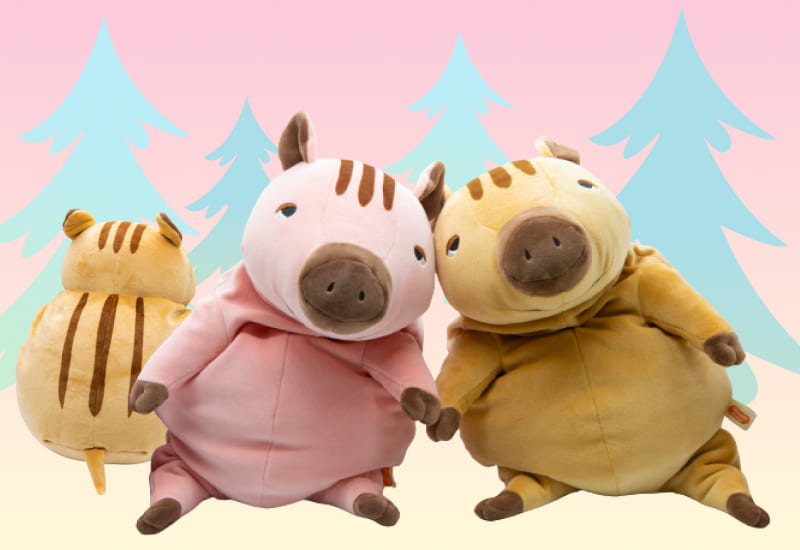 zenplus morisaka global mochi boars v2
