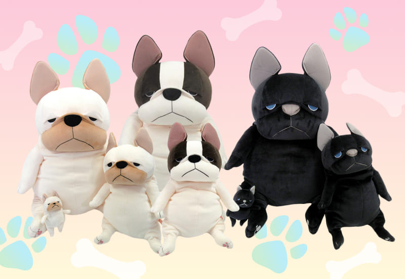 zenplus morisaka global mochi bulldogs v2