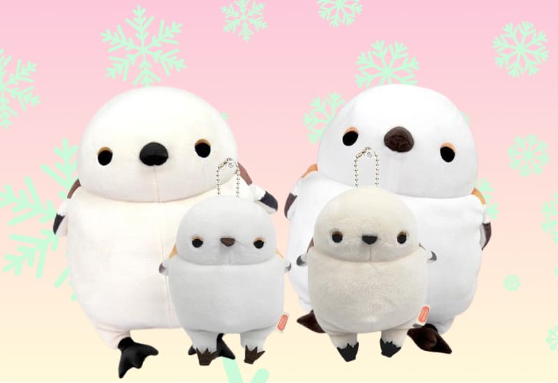 zenplus morisaka global mochi shimaenaga v2