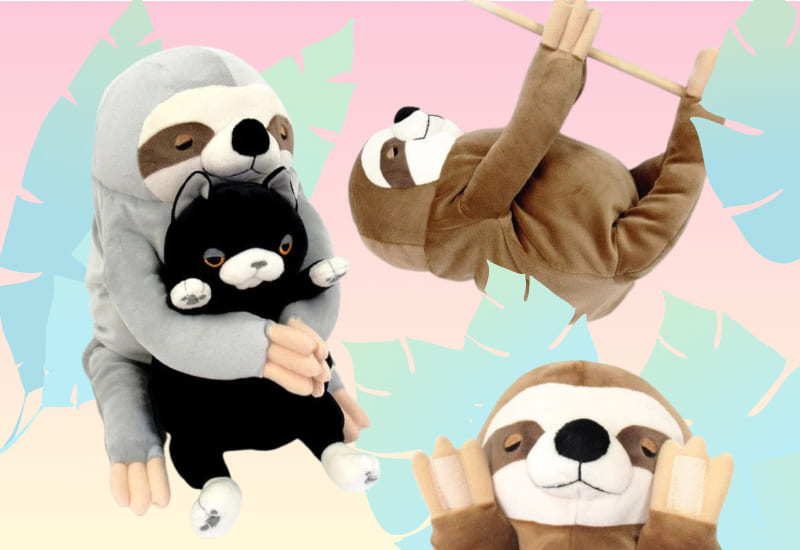 zenplus morisaka global mochi sloths v2