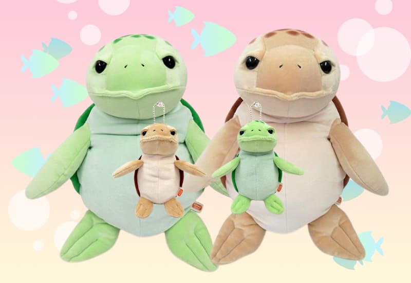 zenplus morisaka global mochi turtles v2