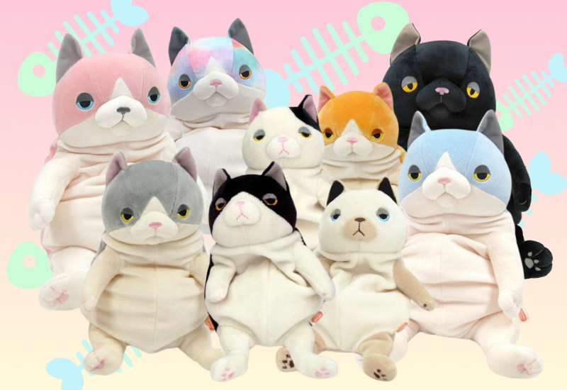 zenplus morisaka global mochi cats