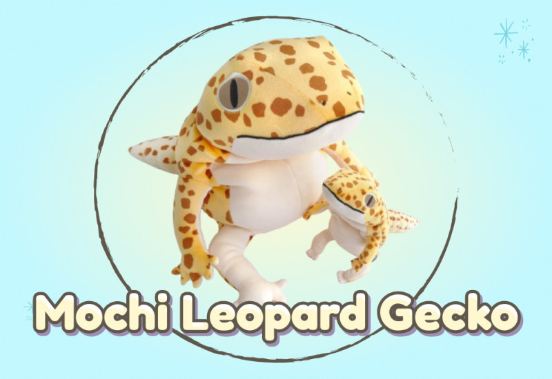 Mochi Leopard Gecko minisite 1