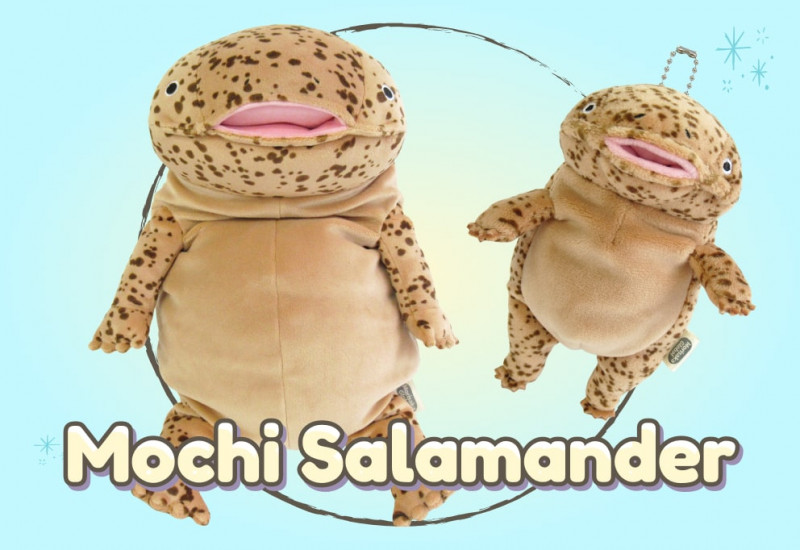 Mochi Salamander minisite min