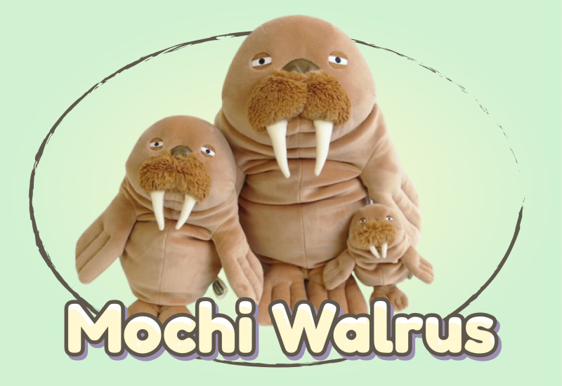 Mochi Walrus banner site