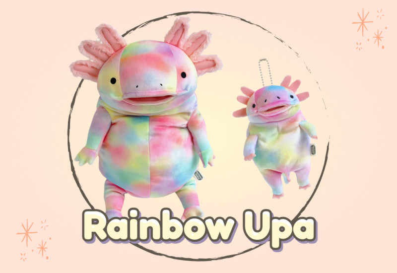 Rainbow axolotl Ministe